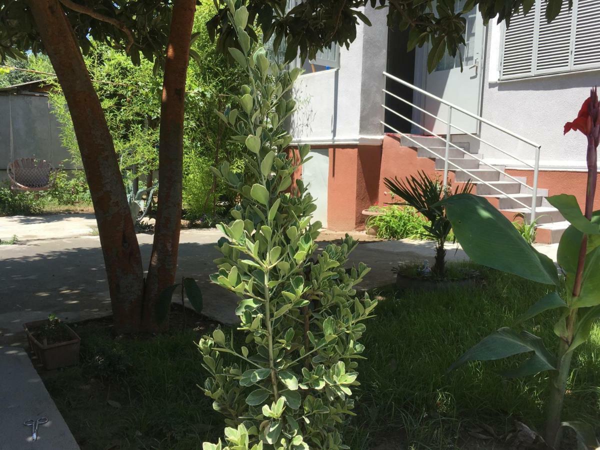 Green House Tbilisi Luaran gambar